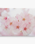 Pink Flower Canvas Wall Art, 'Cherry Blossom'