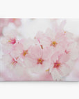 The Offley Green 16X20 Botanical Canvas Print showcases soft pink cherry blossoms against a blurred backdrop. The delicate petals and yellow stamens highlight the beauty and fragility of these eco-friendly artworks, ideal for botanical prints with dreamy effects. Choose from 10+ designs.
