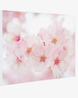 Pink Flower Canvas Wall Art, 'Cherry Blossom'