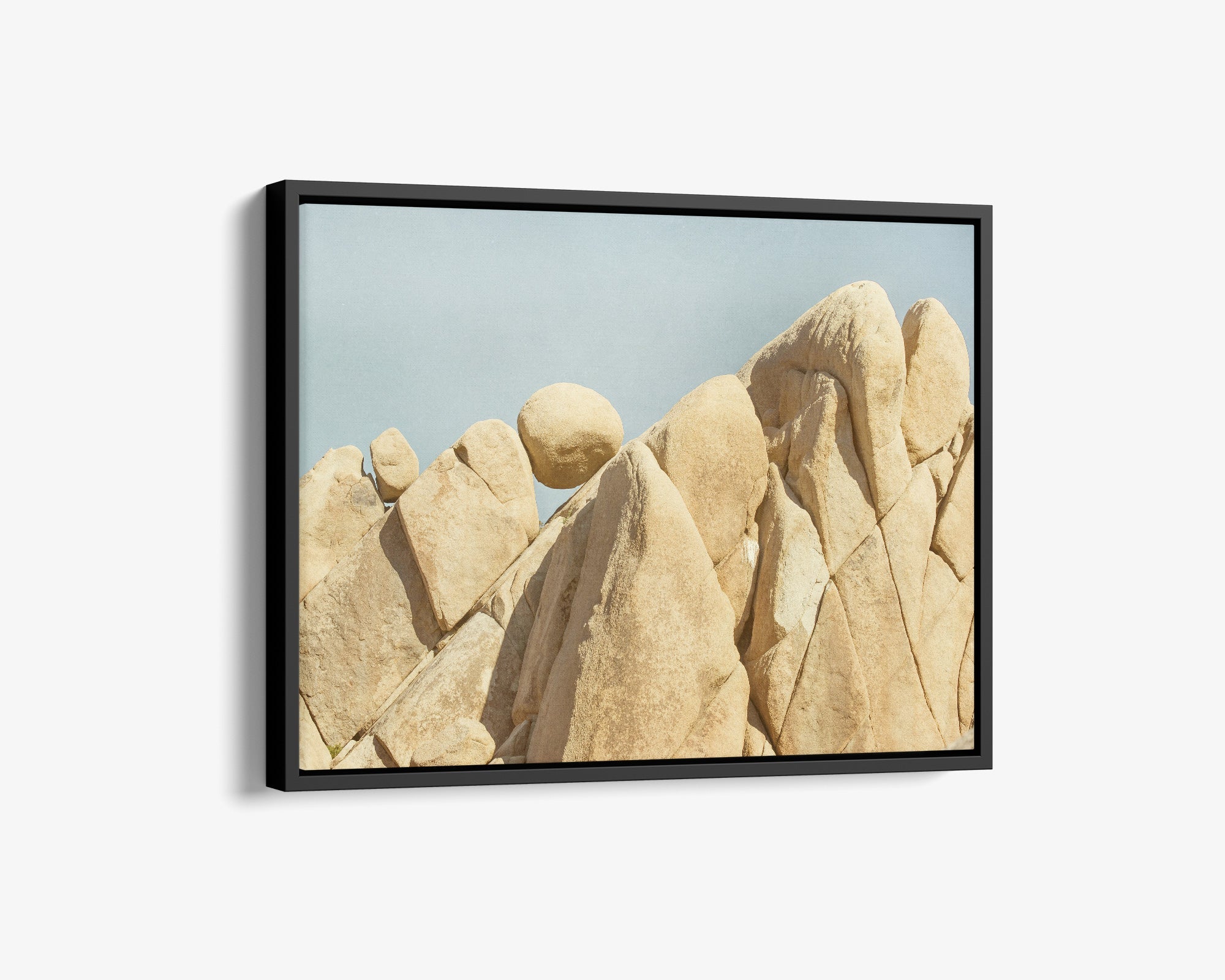Joshua Tree Canvas Wall Art, 'Rock Formations'