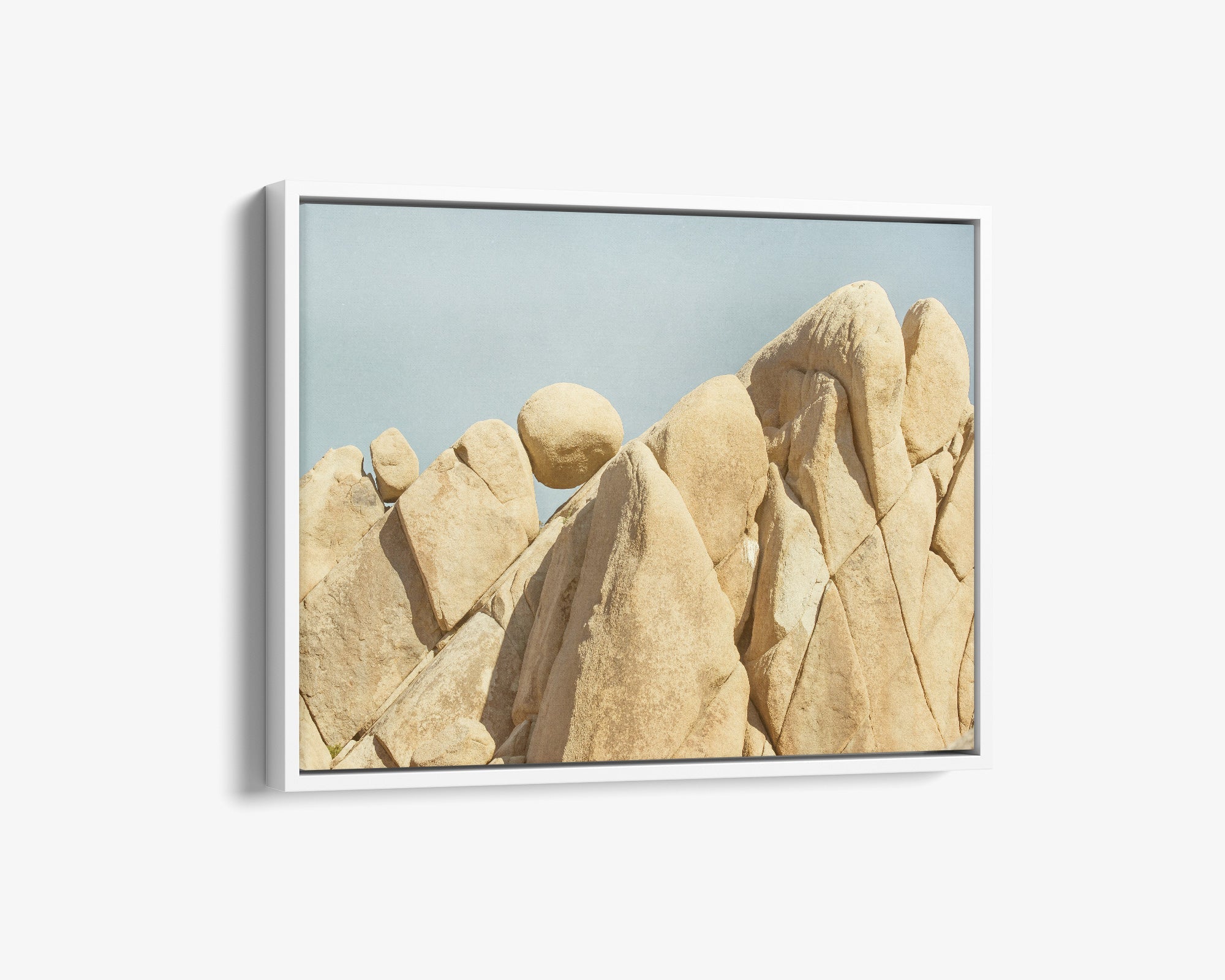 Joshua Tree Canvas Wall Art, 'Rock Formations'