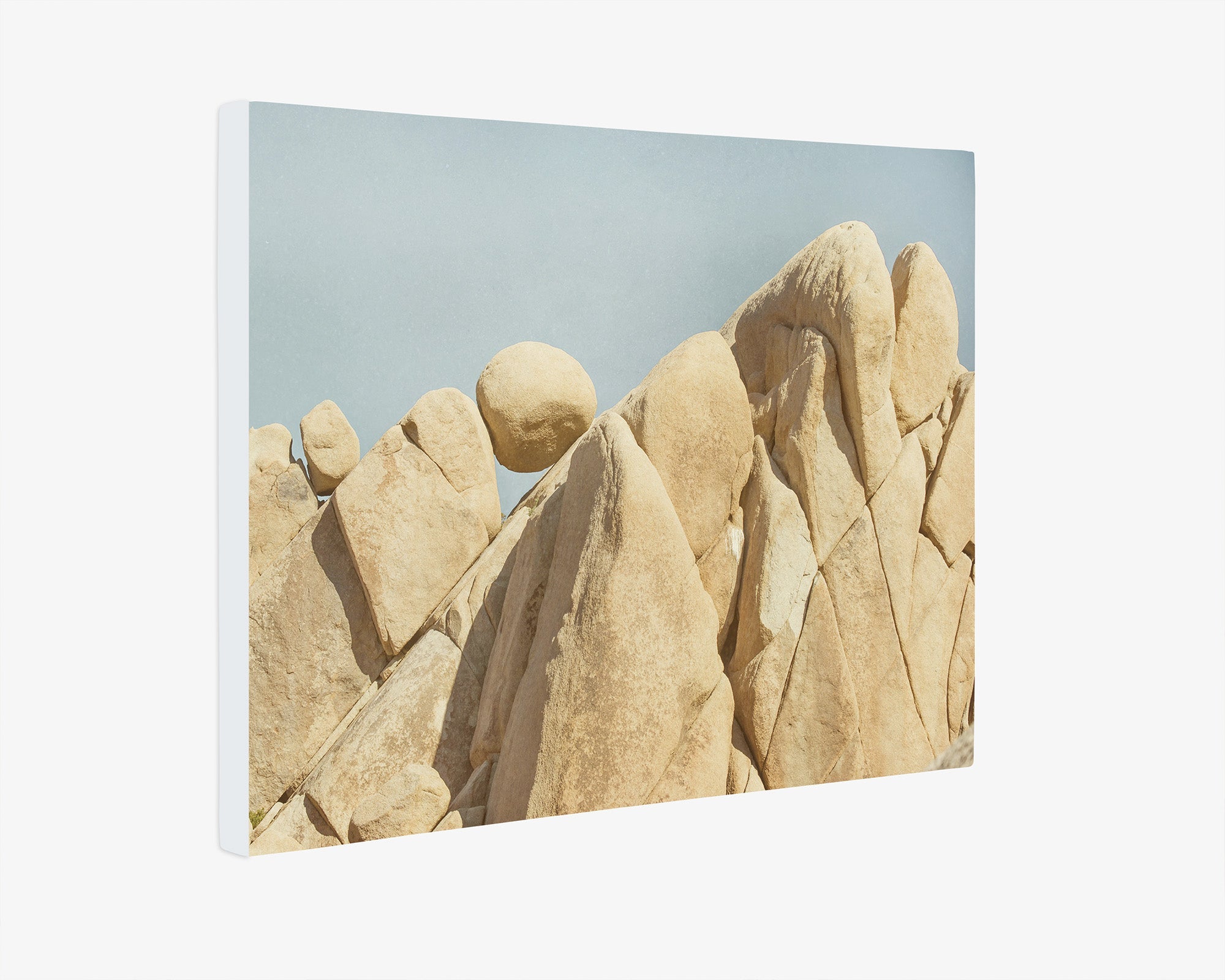 Joshua Tree Canvas Wall Art, 'Rock Formations'
