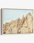Joshua Tree Canvas Wall Art, 'Joshua Rocks'