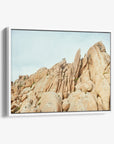 Joshua Tree Canvas Wall Art, 'Joshua Rocks'