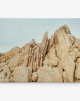 Joshua Tree Canvas Wall Art, 'Joshua Rocks'