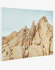 Joshua Tree Canvas Wall Art, 'Joshua Rocks'