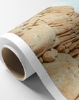 Joshua Tree Canvas Wall Art, 'Joshua Rocks'