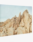 Joshua Tree Canvas Wall Art, 'Joshua Rocks'