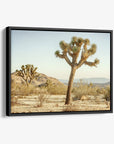 Joshua Tree Canvas Wall Art, 'Mighty Joshua'