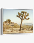 Joshua Tree Canvas Wall Art, 'Mighty Joshua'