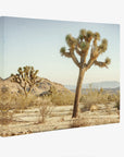 Joshua Tree Canvas Wall Art, 'Mighty Joshua'