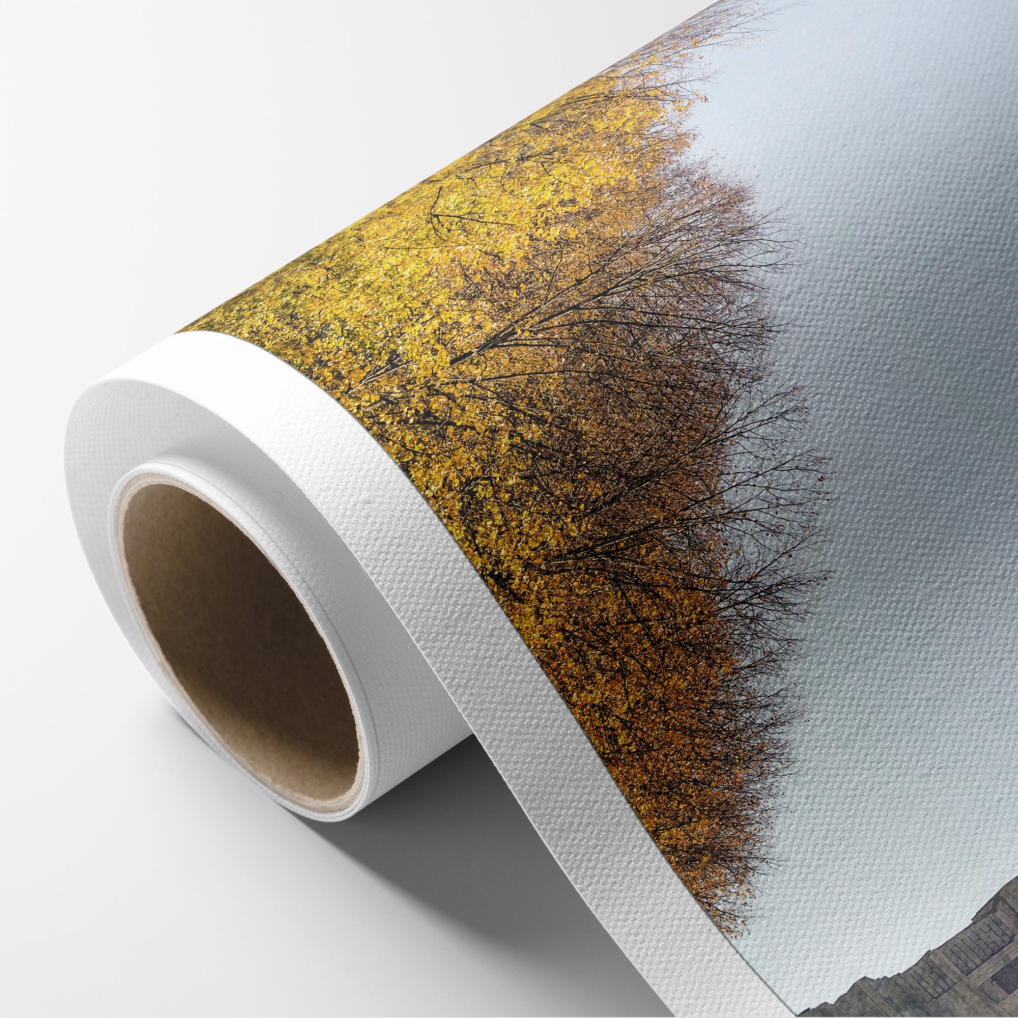 New York City Canvas Wall Art, 'Liberty in Fall'
