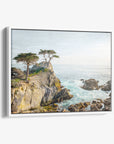 California Coastal Canvas Wall Art, 'Lone Cypress'