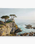 Enjoy a stunning coastal scene with Offley Green's 16x20 Coastal Canvas Print. Featuring a rocky cliff, windswept trees, and crashing waves under a clear sky, this canvas is perfect for capturing nature's beauty. Choose from 10+ designs to find your ideal gallery wrap.