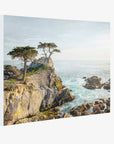 California Coastal Canvas Wall Art, 'Lone Cypress'
