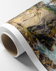 California Coastal Canvas Wall Art, 'Lone Cypress'