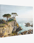 California Coastal Canvas Wall Art, 'Lone Cypress'