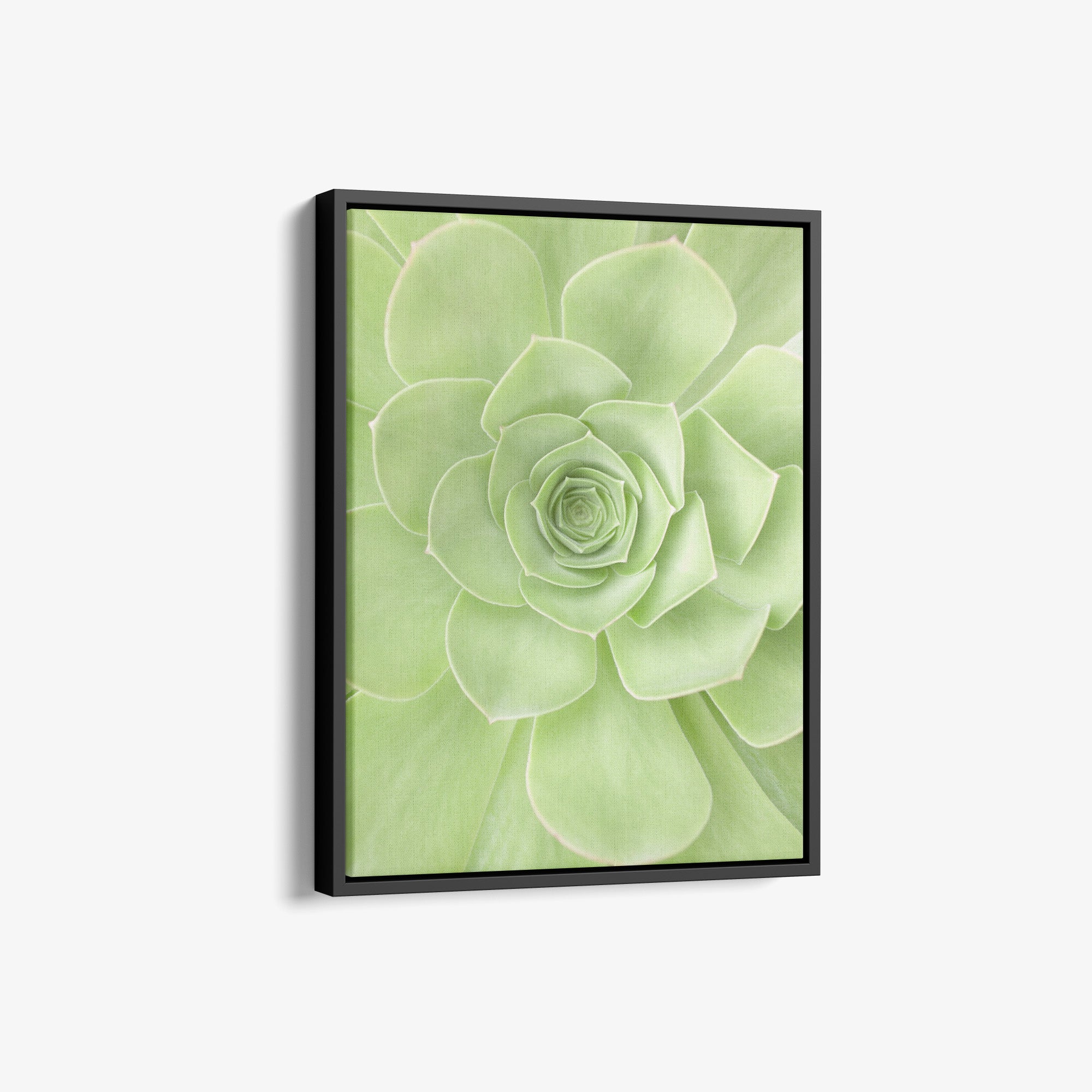 Soothing Green Botanical Wall Art, 'Portrait of a Succulent Heart'