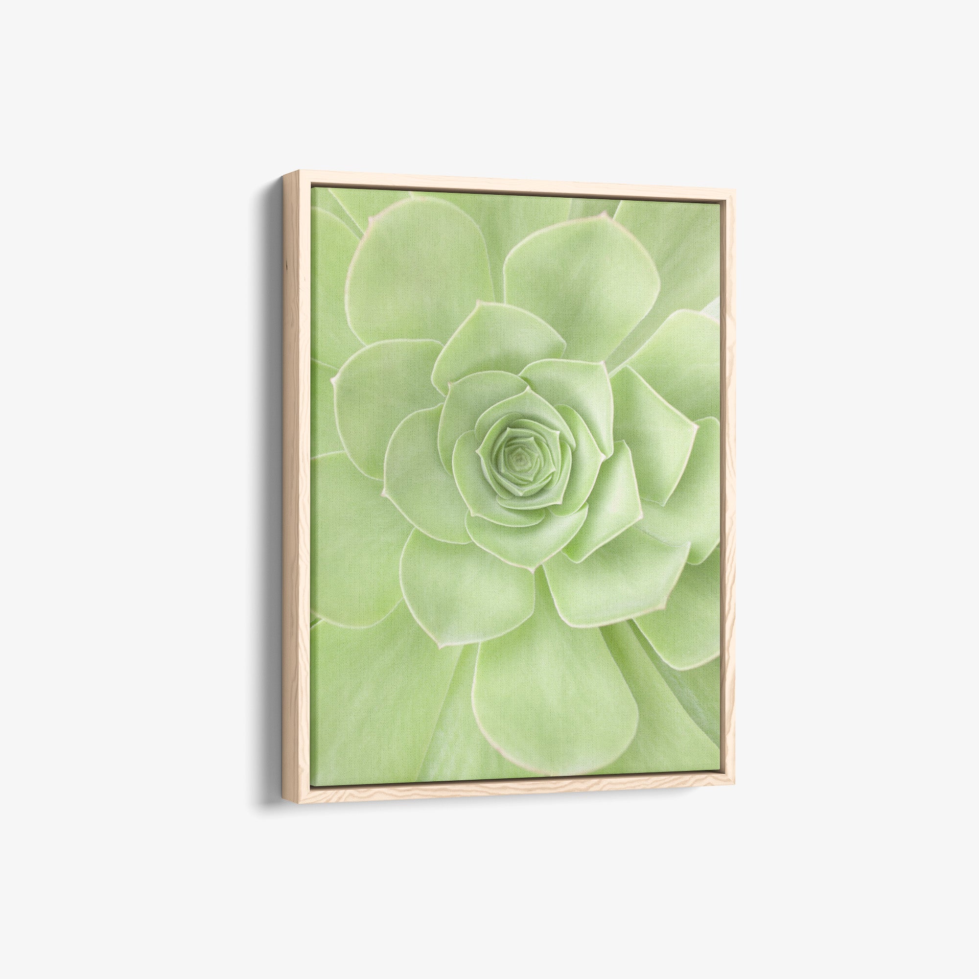 Soothing Green Botanical Wall Art, 'Portrait of a Succulent Heart'