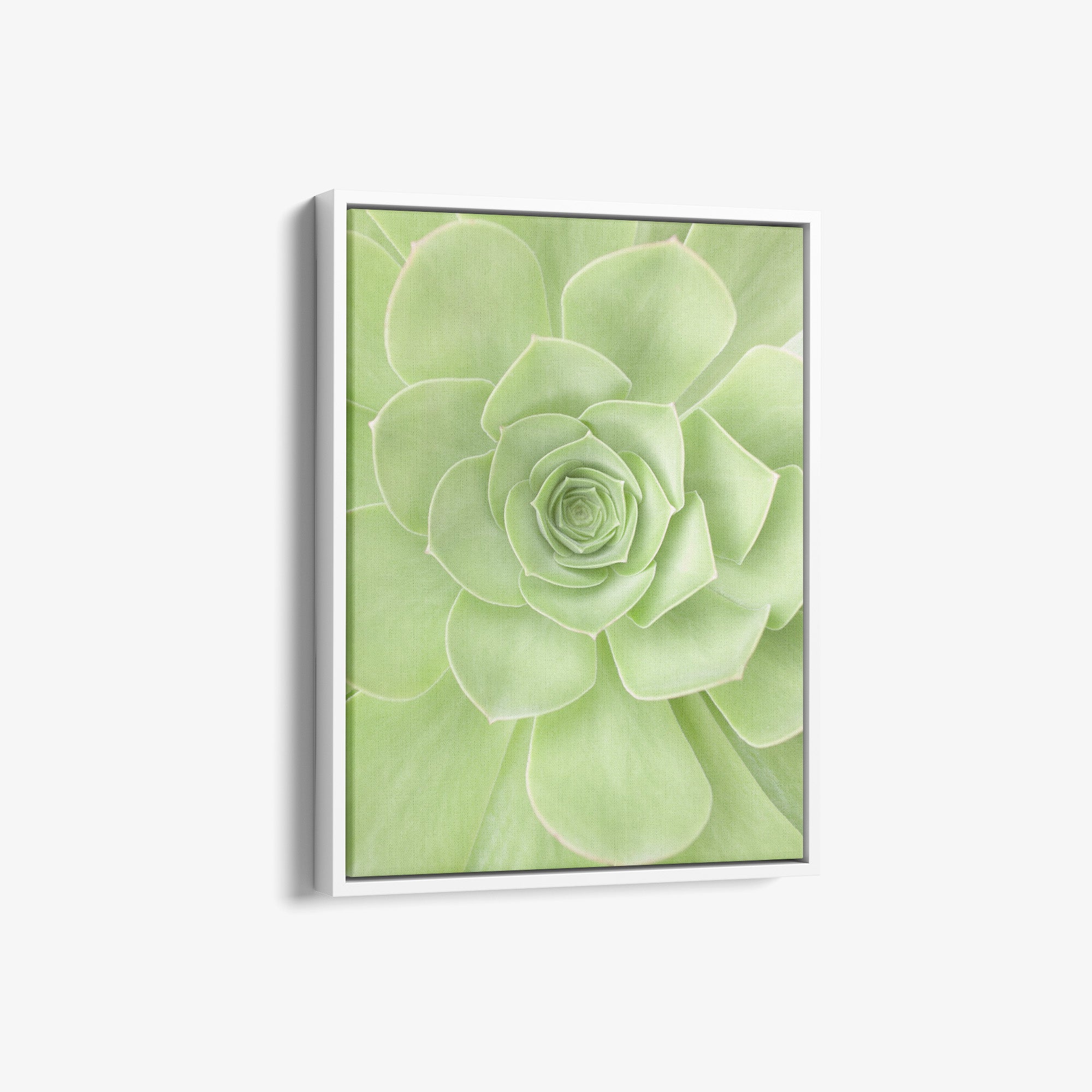 Soothing Green Botanical Wall Art, 'Portrait of a Succulent Heart'