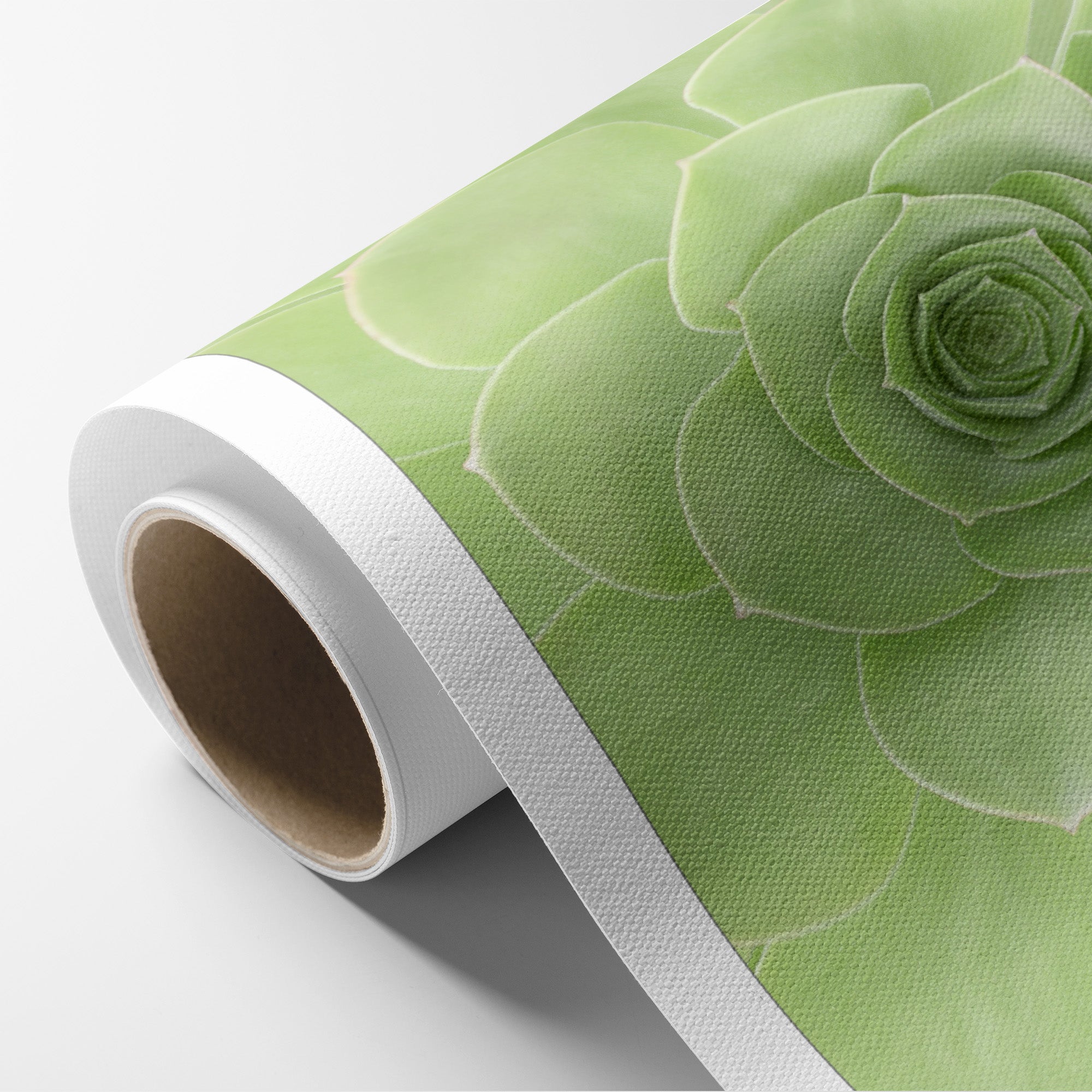 Soothing Green Botanical Wall Art, 'Portrait of a Succulent Heart'