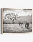 Rustic Vintage Canvas Print of Horses in a Field, 'Santa Ynez Horses (Black & White)'