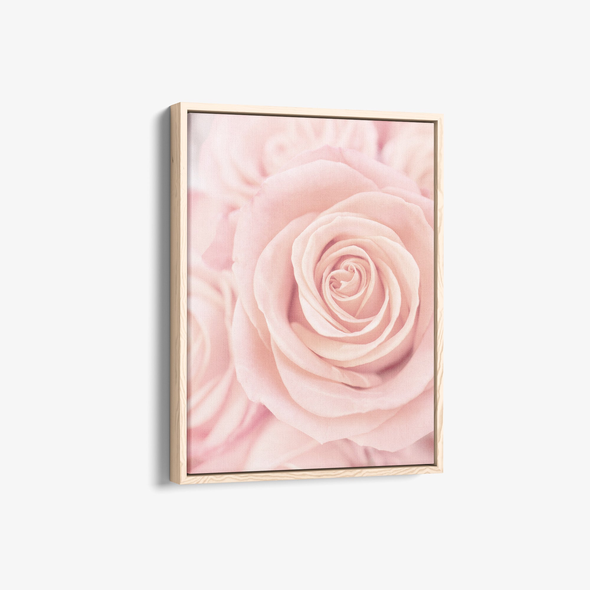 Elegant Pink Rose Canvas Print, 'Pink Luxe'