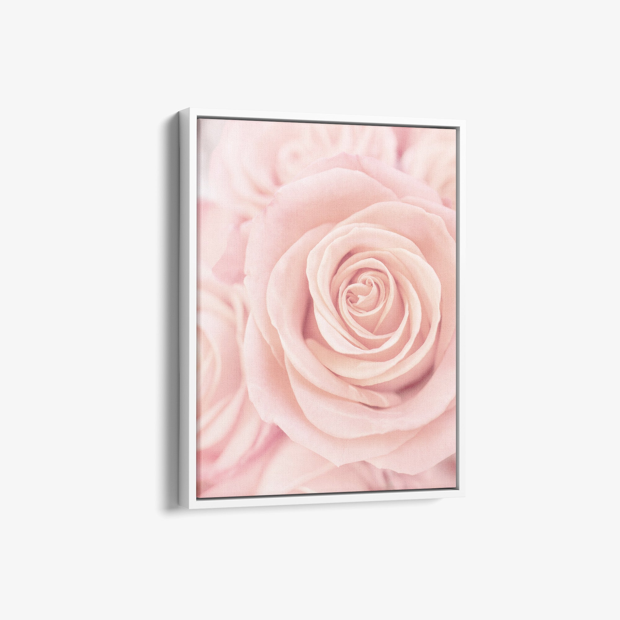 Elegant Pink Rose Canvas Print, 'Pink Luxe'