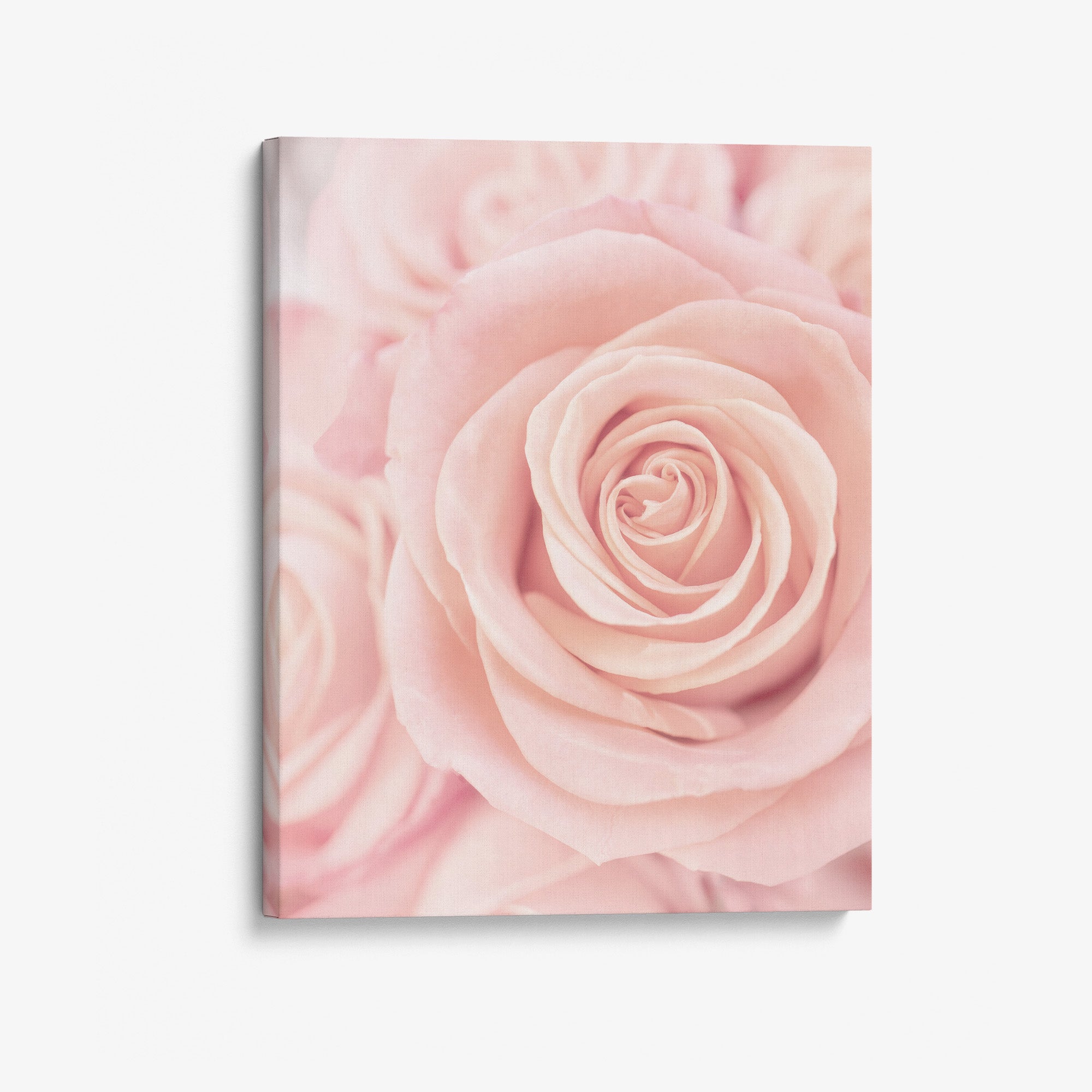 Elegant Pink Rose Canvas Print, 'Pink Luxe'
