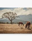 Two horses graze in a dry, grassy field with a lone tree and distant mountains under a partly cloudy sky. This serene landscape mirrors the charm of Offley Green's 8x10 Rustic Canvas Print collection, perfect for capturing such rustic views.