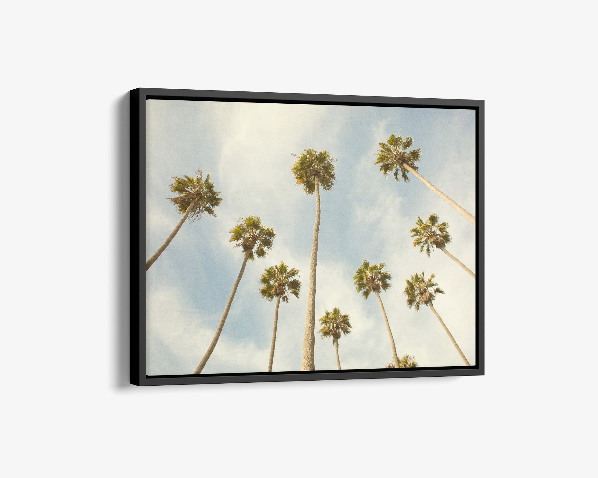 Palm Tree Canvas Print, California Beach Scene 'Reach for the Palms'