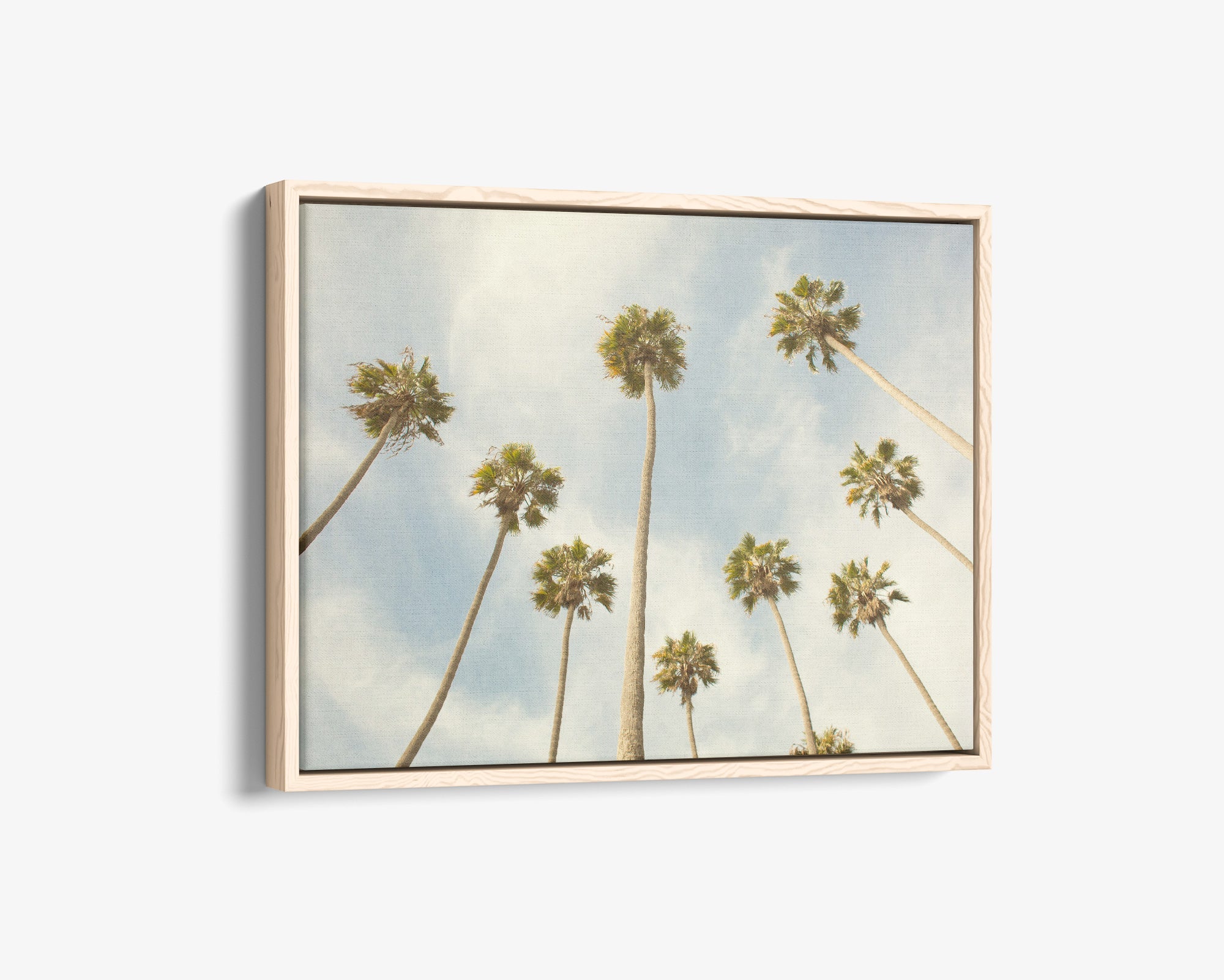 Palm Tree Canvas Print, California Beach Scene 'Reach for the Palms'