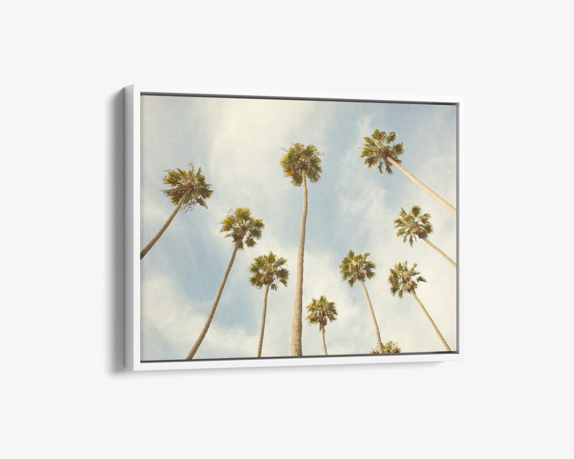 Palm Tree Canvas Print, California Beach Scene 'Reach for the Palms'