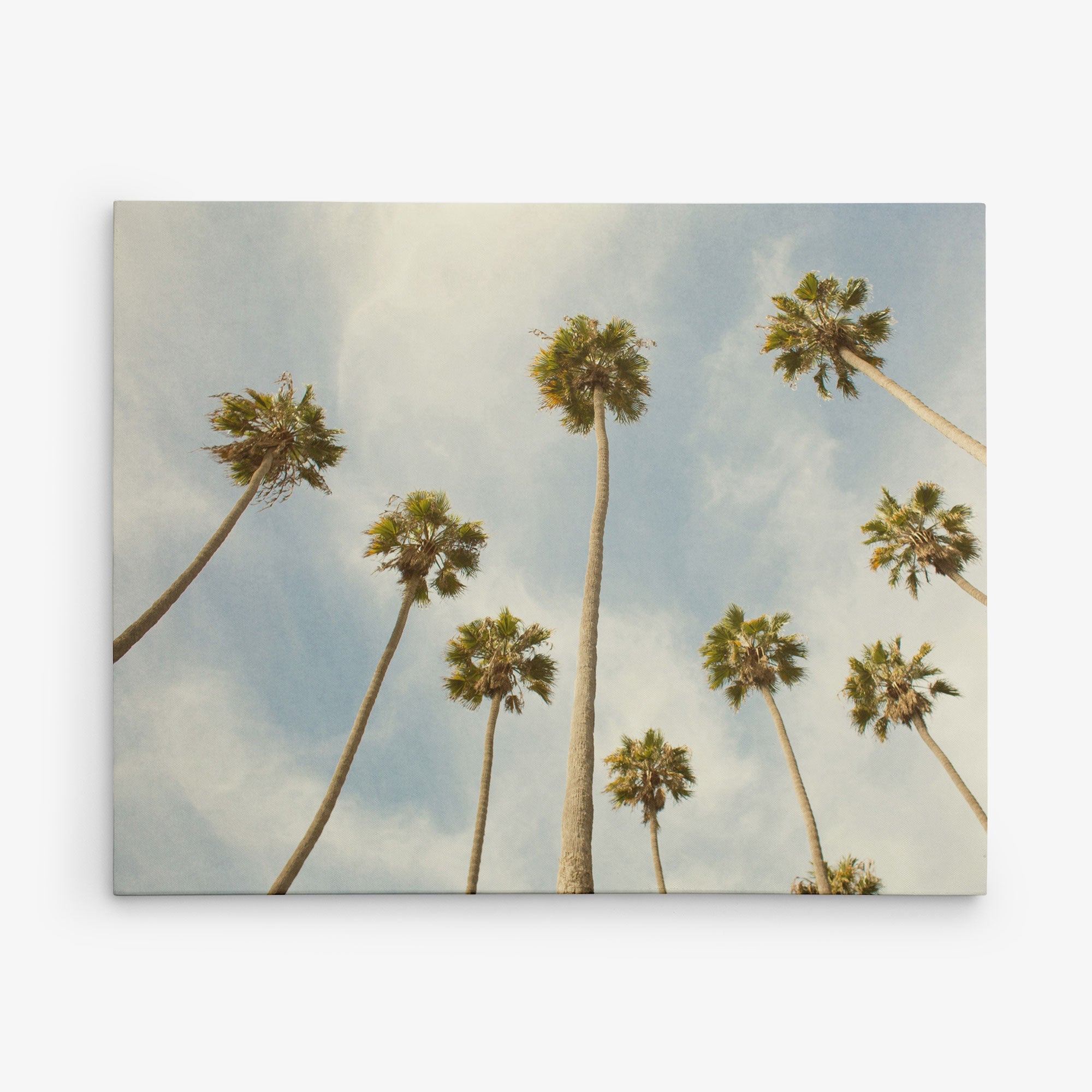 A cluster of tall palm trees are viewed from below, their fronds stretching towards the blue sky with a few wispy clouds. The perspective emphasizes the height of the palm trees, creating a serene and tropical atmosphere—perfect for Offley Green's 16x20 California Canvas Print (Choose from 10+ Designs).
