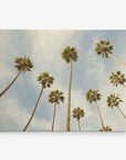 A 30x40 California Canvas Print from Offley Green captures the view of tall palm trees with green fronds against a light blue sky dotted with white clouds. These widely spaced palms create a sense of height and openness, making this light, airy image an ideal wall art or canvas gallery wrap choice. Choose from 10+ designs for the perfect addition to your space.