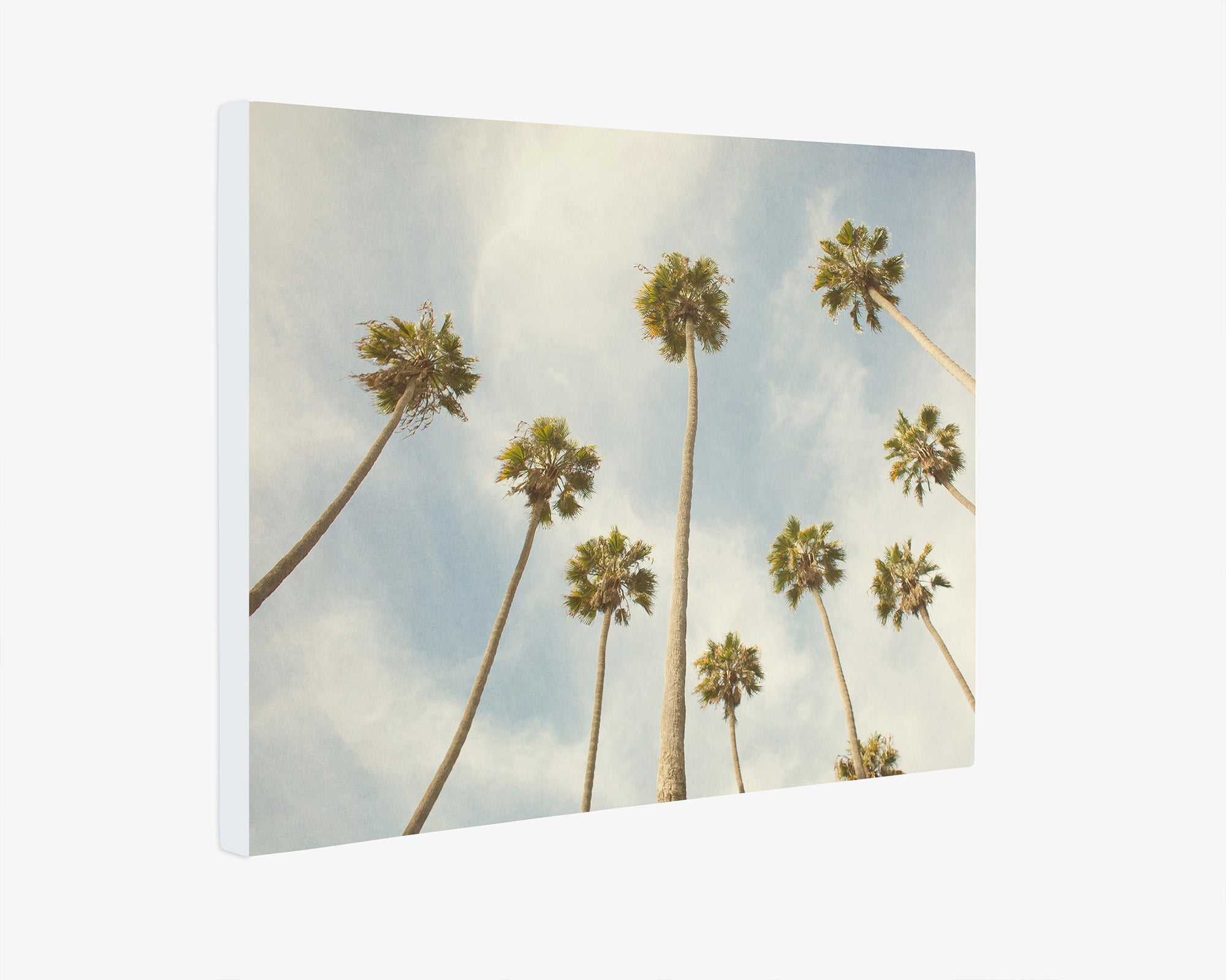 Palm Tree Canvas Print, California Beach Scene 'Reach for the Palms'