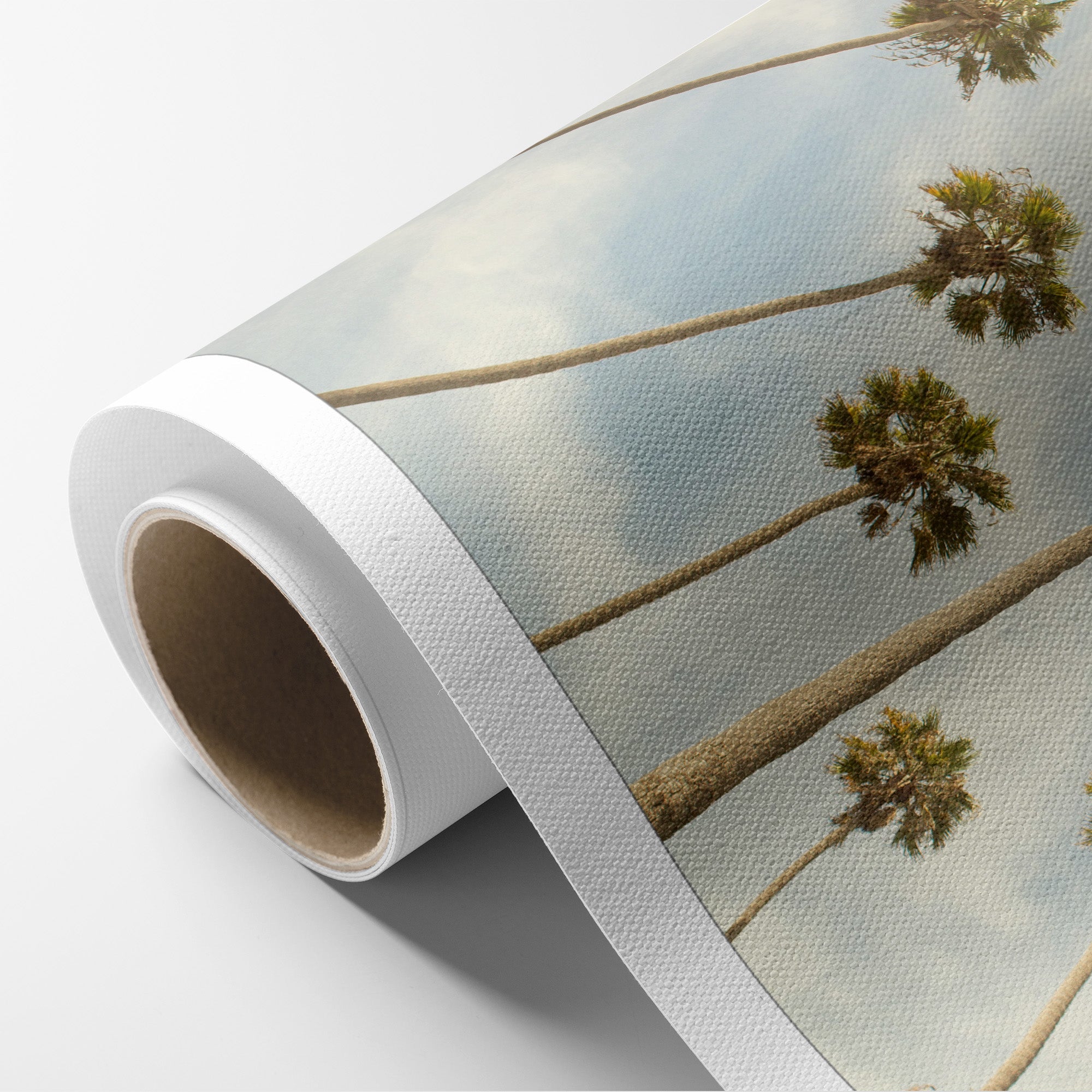 Palm Tree Canvas Print, California Beach Scene 'Reach for the Palms'
