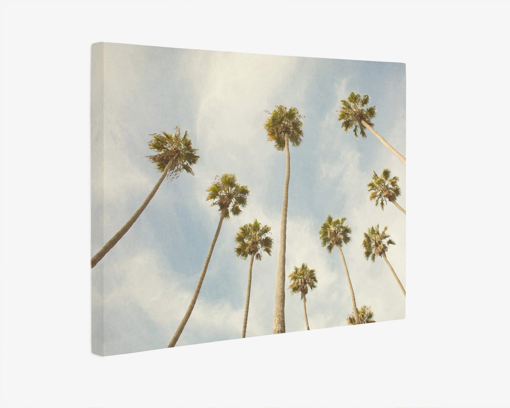 Palm Tree Canvas Print, California Beach Scene 'Reach for the Palms'