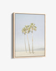 Venice Beach Palm Tree Canvas Print 'Three Palms'