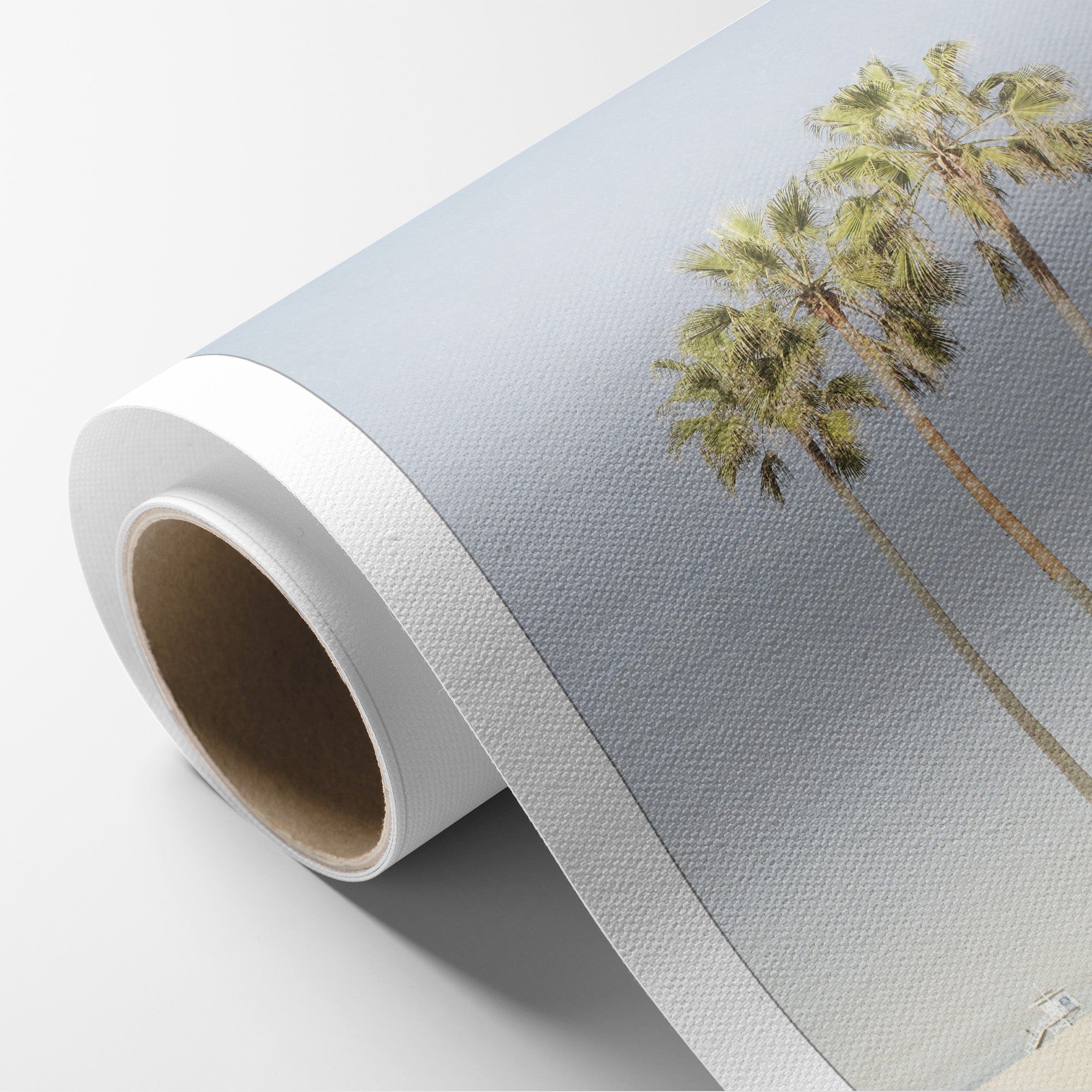 Venice Beach Palm Tree Canvas Print 'Three Palms'