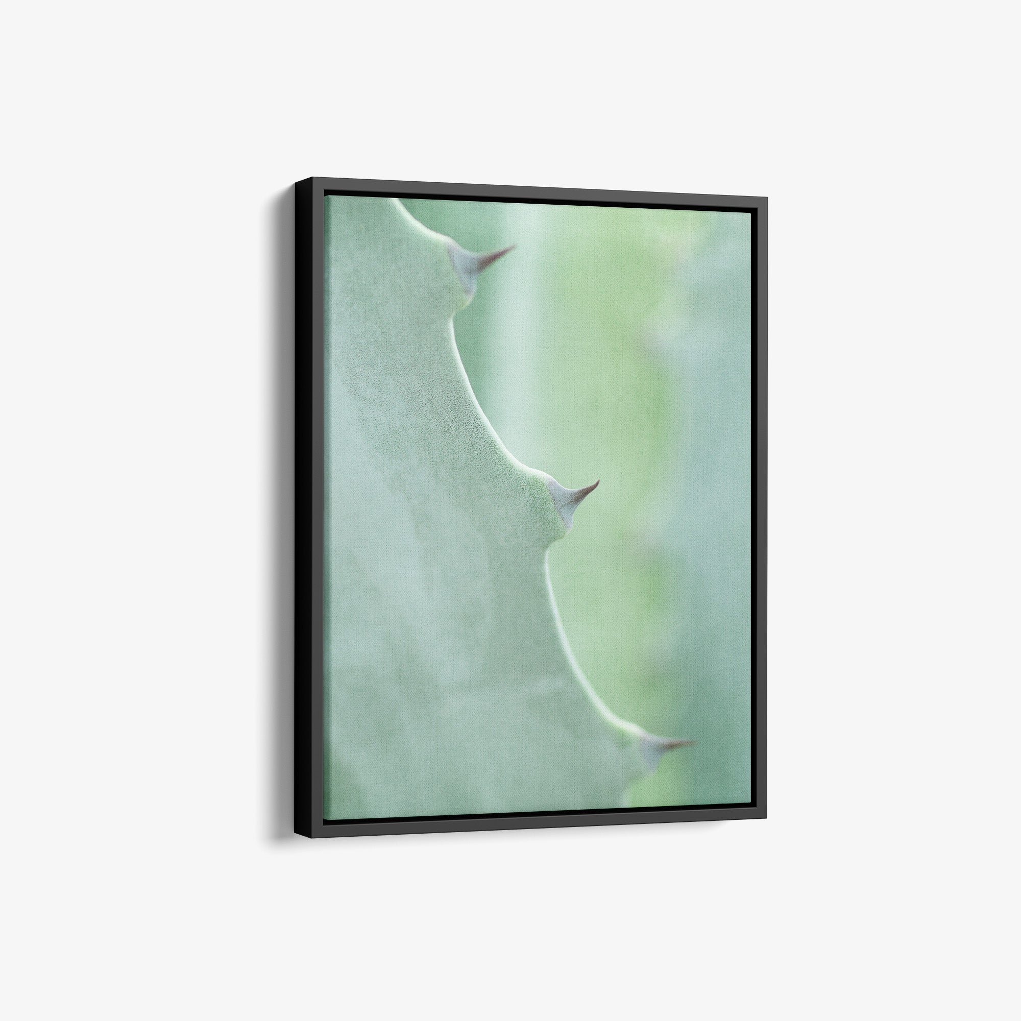 Mint Green Botanical Canvas Print, 'Aloe Vera Spikes Portrait'