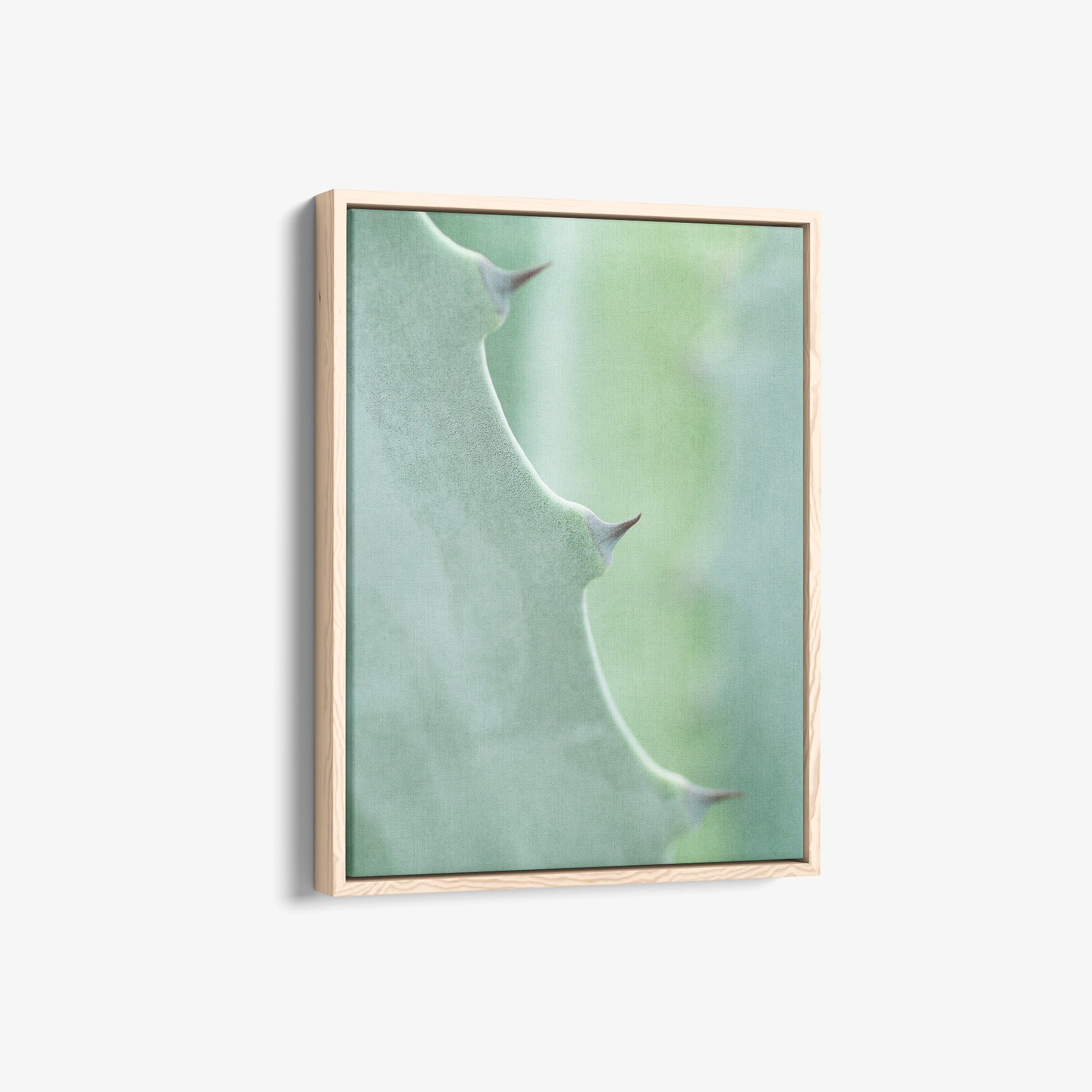 Mint Green Botanical Canvas Print, 'Aloe Vera Spikes Portrait'