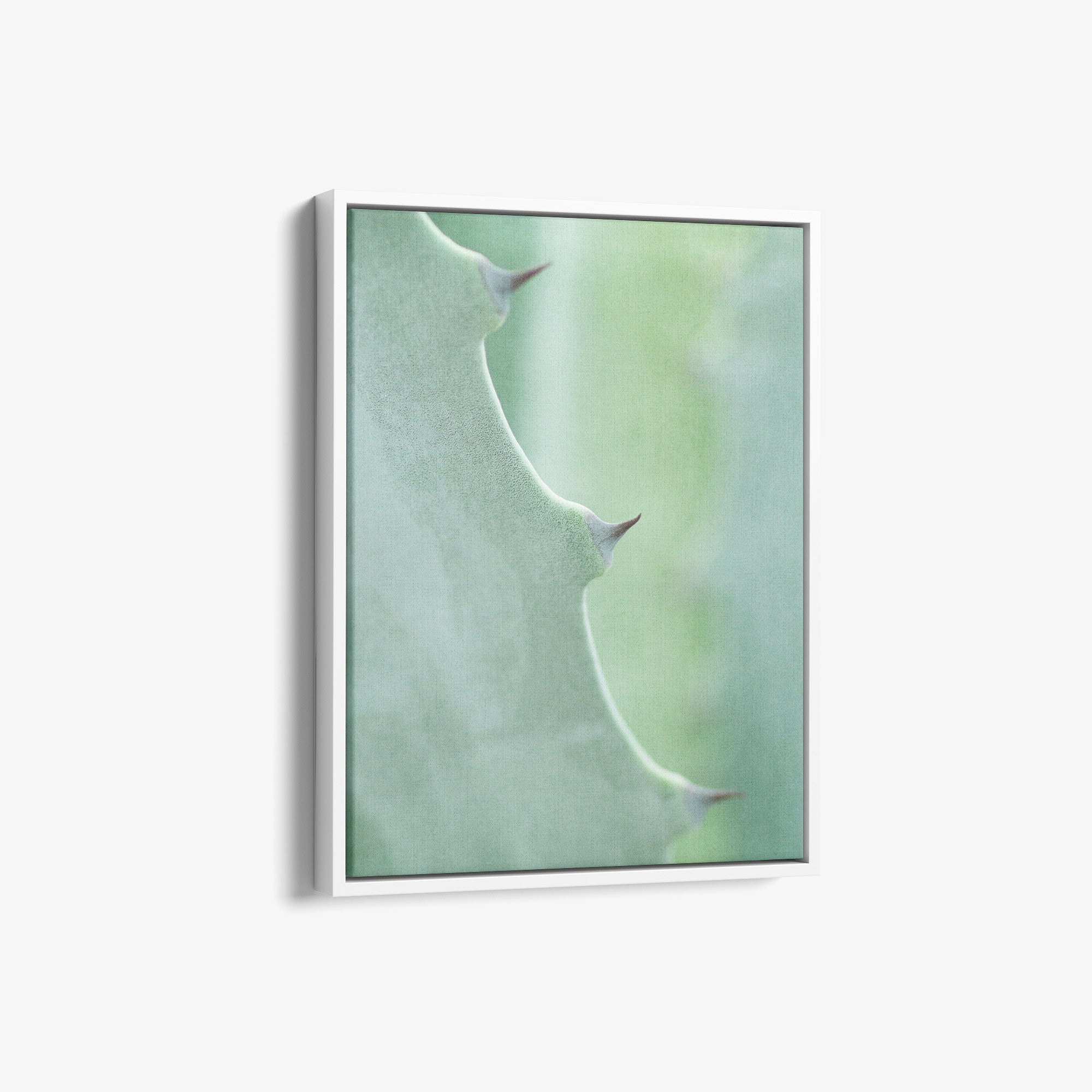 Mint Green Botanical Canvas Print, 'Aloe Vera Spikes Portrait'