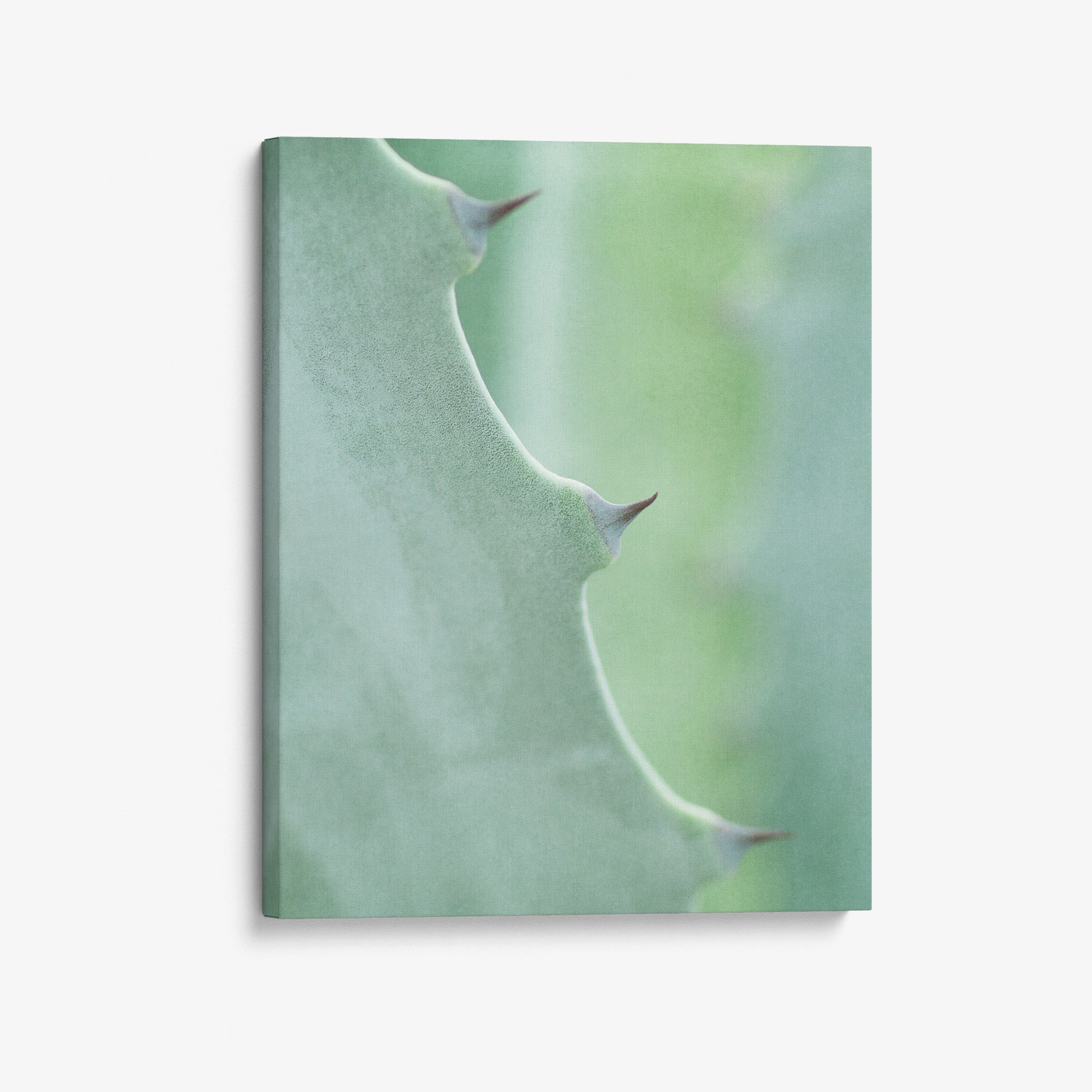 Mint Green Botanical Canvas Print, 'Aloe Vera Spikes Portrait'