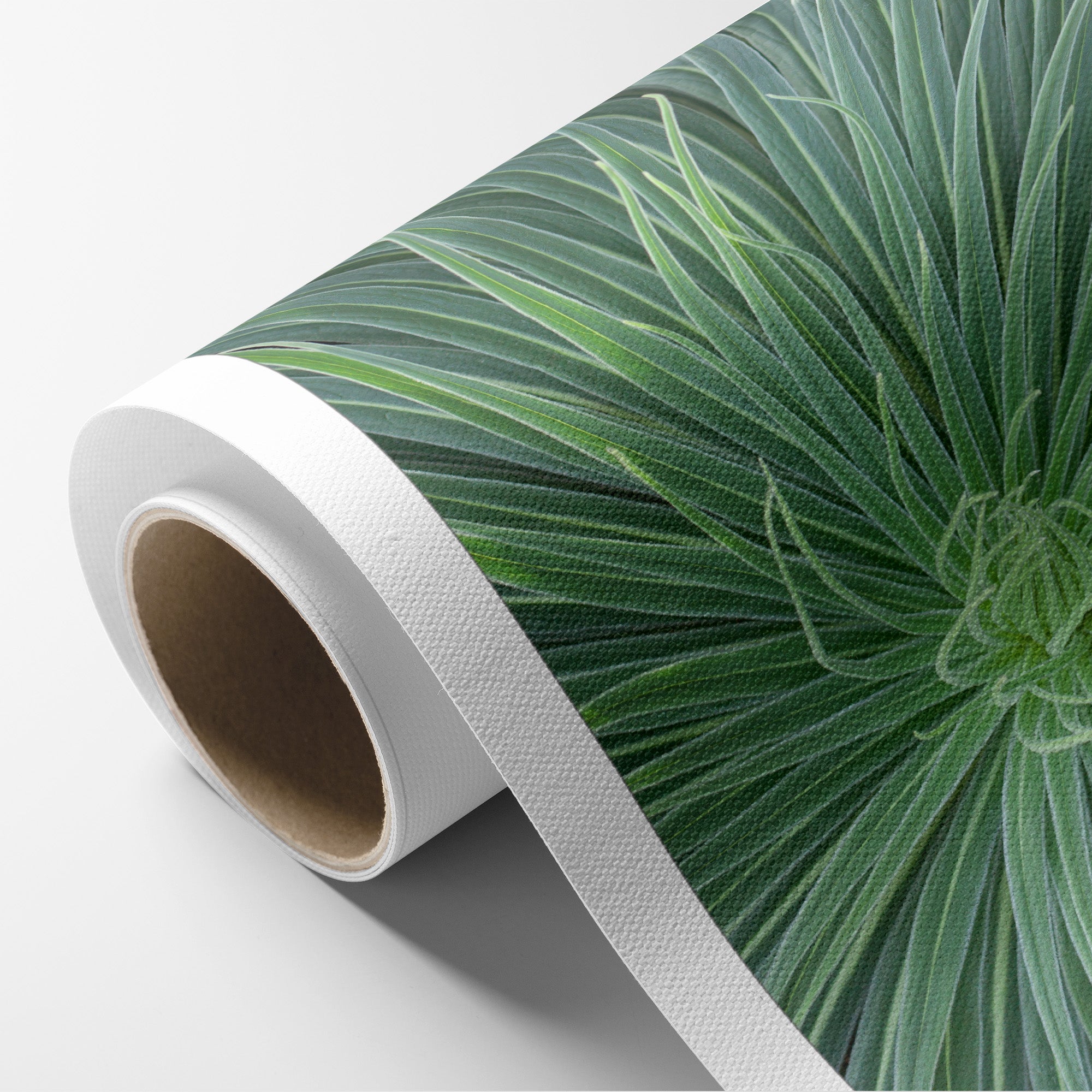 Dramatic Green Botanical Canvas Artwork, 'Desert Fireworks II'
