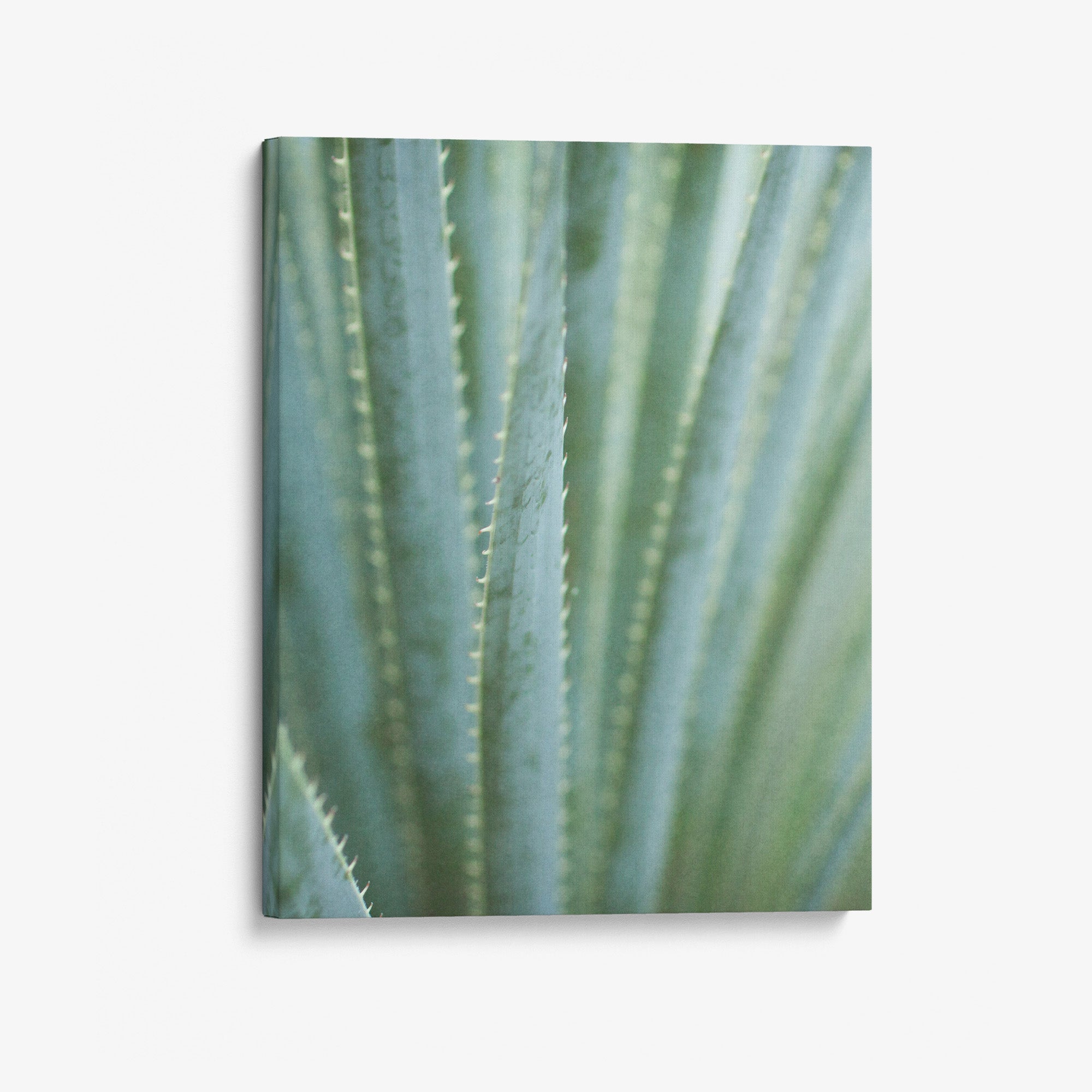 Green Botanical Canvas Print, 'Strands and Spikes II'