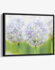 Botanical Wall Art, Allium Print, Modern Farmhouse Artwork, 'Blue Allium'