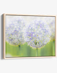 Botanical Wall Art, Allium Print, Modern Farmhouse Artwork, 'Blue Allium'
