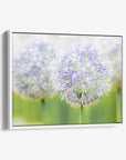 Botanical Wall Art, Allium Print, Modern Farmhouse Artwork, 'Blue Allium'