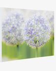 Botanical Wall Art, Allium Print, Modern Farmhouse Artwork, 'Blue Allium'
